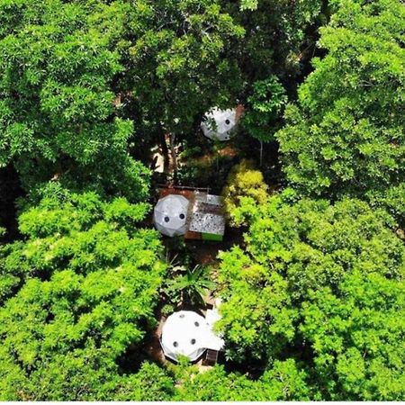 Hotel Faith Glamping Dome Costa Rica Manzanillo  Zewnętrze zdjęcie