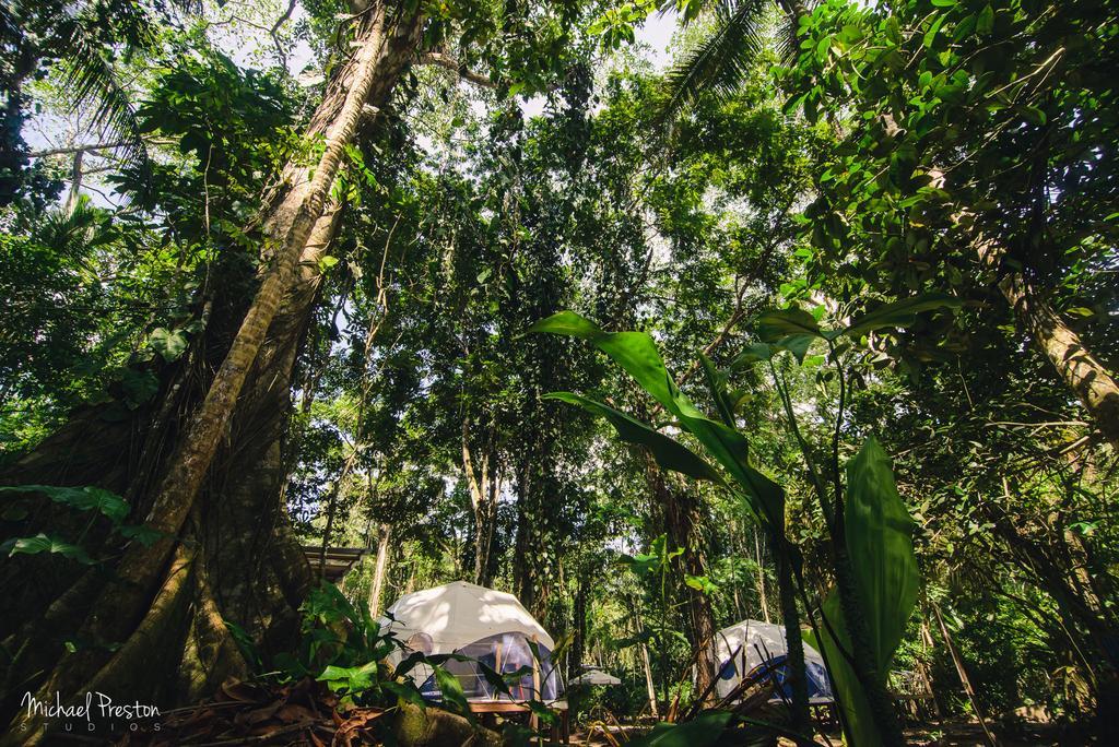 Hotel Faith Glamping Dome Costa Rica Manzanillo  Zewnętrze zdjęcie